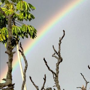 Meet your Posher, Thyme